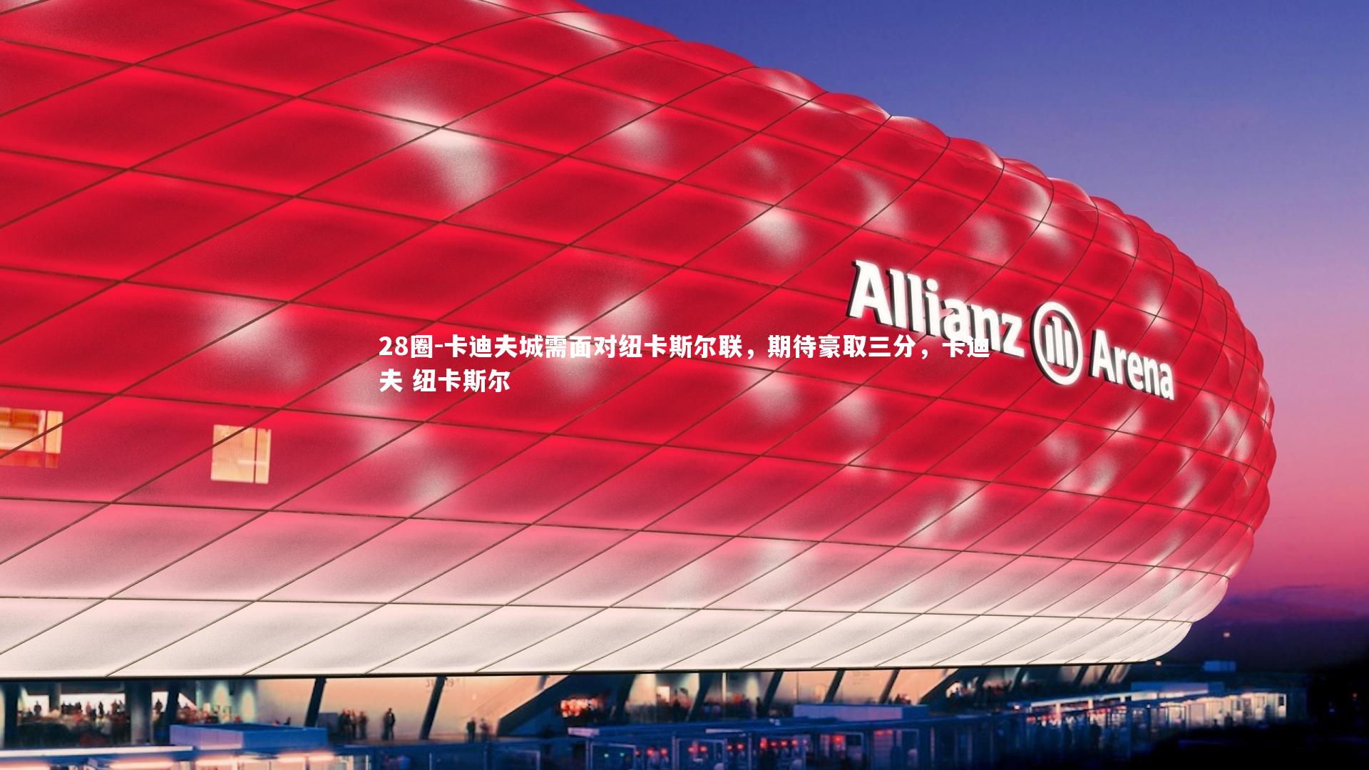 28圈-卡迪夫城需面对纽卡斯尔联，期待豪取三分，卡迪夫 纽卡斯尔