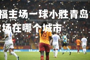 28圈-河北华夏幸福主场一球小胜青岛黄海，领跑积分榜，河北华夏幸福主场在哪个城市